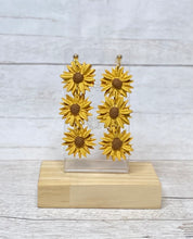 Load image into Gallery viewer, Sulien