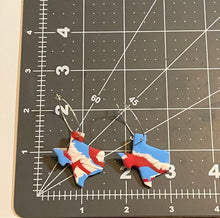 Load image into Gallery viewer, GameDay Texas Hoops