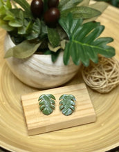 Load image into Gallery viewer, Monstera Leaf Studs